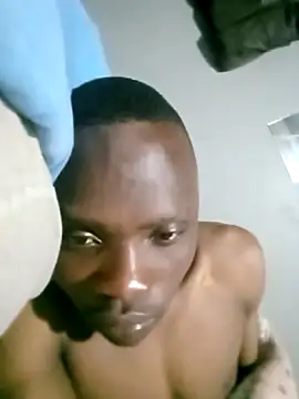 199Gif online show from December 22, 2025, 7:33 pm