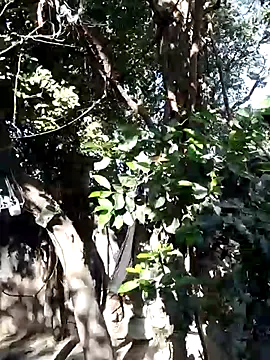 Hot-rubina online show from March 5, 2025, 3:18 am