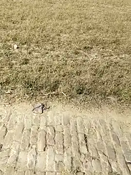 Hot-rubina online show from April 11, 2026, 10:41 am