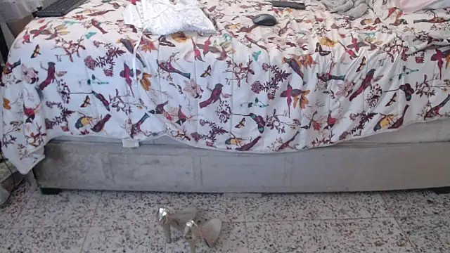 daniela starks online show from March 12, 2026, 11:00 pm