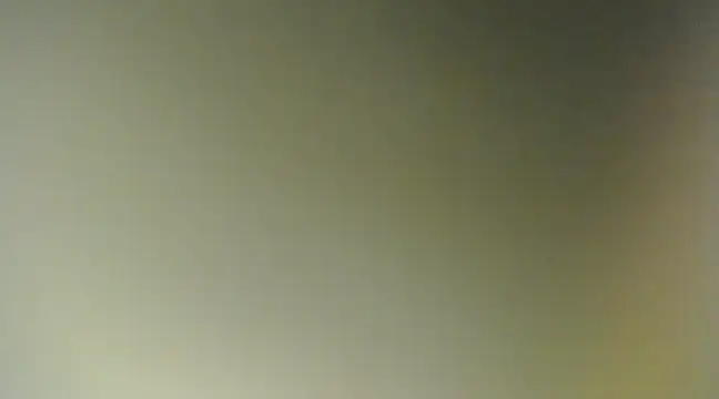 Lovensetest online show from March 11, 2025, 11:55 am