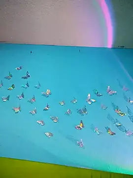 evelyn prince1 online show from February 3, 2026, 1:59 am