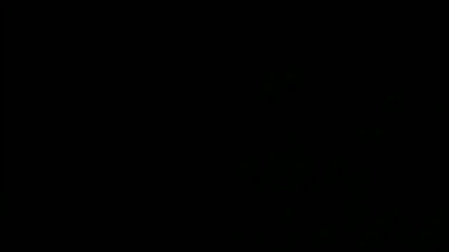 SensualJane2 online show from January 5, 2025, 6:13 am