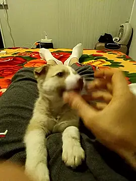 arenn1997 online show from January 10, 2026, 12:23 am