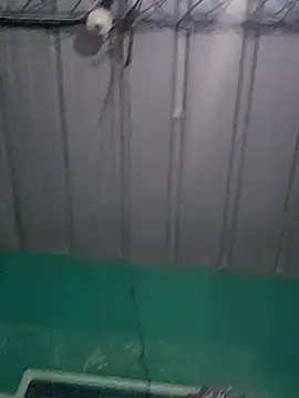 Snapshot of Cris29_84 chatting on February 24, 2026, 8:23 am Cris29 84 online show from February 24, 2026, 8:23 am