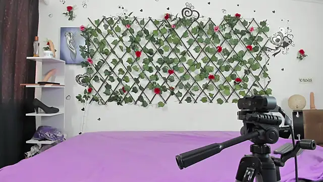 1lovelygirls online show from December 28, 2024, 7:11 pm