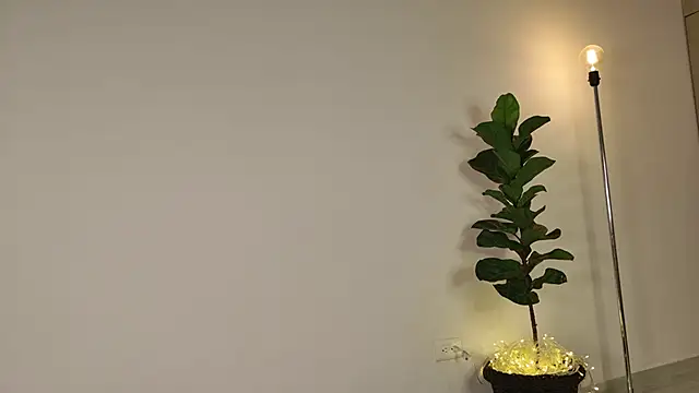 Snapshot of lady_ni_ chatting on December 17, 2025, 12:22 pm lady ni online show from December 17, 2025, 12:22 pm