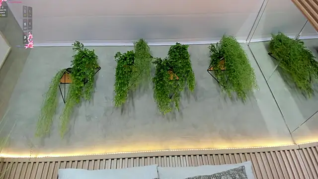 Lana Lann online show from February 5, 2025, 12:38 pm