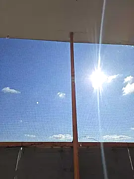 McdyllanXX online show from March 15, 2025, 11:40 am