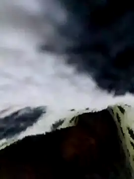 LemonyArcus online show from November 24, 2025, 3:06 am