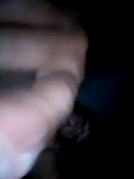 LemonyArcus online show from April 27, 2026, 4:43 am