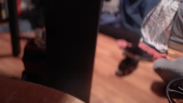 flexingplexico online show from March 2, 2025, 8:48 am