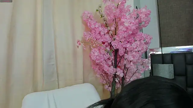  cat 18 online show from March 21, 2025, 5:12 pm