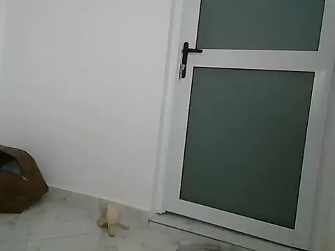 lugari online show from December 21, 2024, 10:19 pm