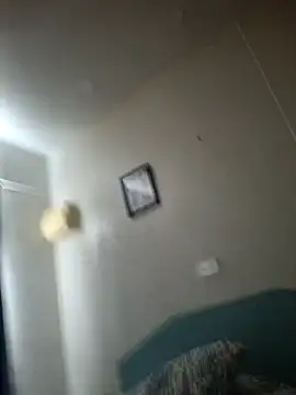 Off the Lesh online show from February 1, 2026, 2:54 am