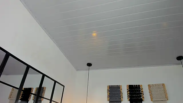 Sweet camille online show from January 12, 2026, 2:17 am