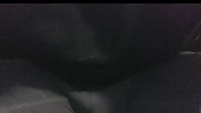 robeaulieu02 online show from February 23, 2025, 6:17 am