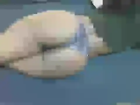 lella-0 online show from October 16, 2025, 9:38 pm