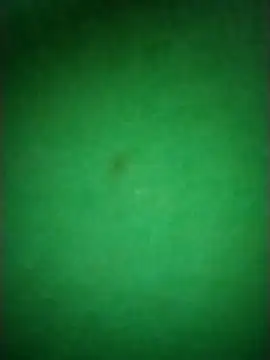 Snapshot of Zane_Natha chatting on November 10, 2025, 12:53 am Zane Natha online show from November 10, 2025, 12:53 am