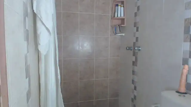 brigitht online show from March 11, 2025, 3:02 pm