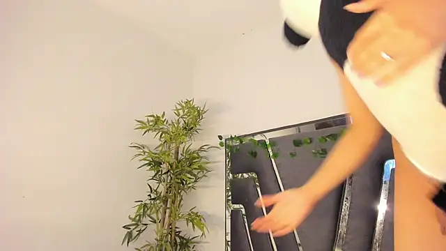 Black Rose2 online show from February 8, 2025, 11:44 am