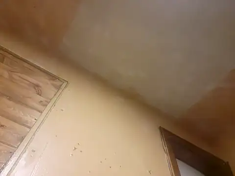 Snapshot of BigDDave6979 chatting on March 13, 2025, 7:42 am BigDDave6979 online show from March 13, 2025, 7:42 am