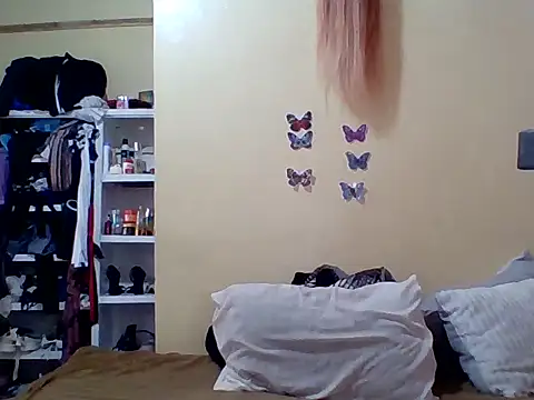 Zara Twilight online show from January 11, 2026, 11:26 am