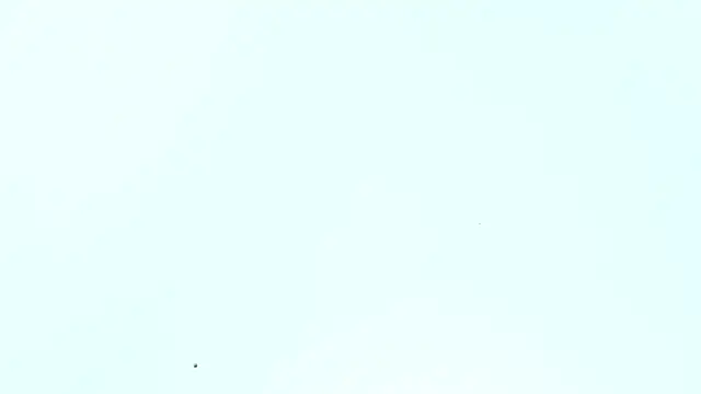  Lakshmi hotx online show from December 5, 2024, 12:33 pm