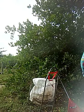 natally ross21 online show from March 20, 2026, 1:16 pm