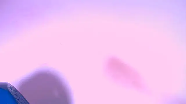 Snapshot of shara_bigcum chatting on May 11, 2026, 8:17 pm shara bigcum online show from May 11, 2026, 8:17 pm