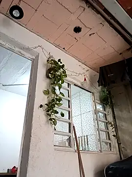 Snapshot of Brasilsexxx chatting on December 18, 2025, 2:45 pm Brasilsexxx online show from December 18, 2025, 2:45 pm