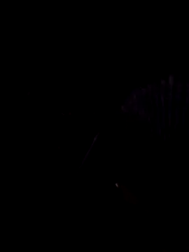 StaciGoodman online show from February 1, 2025, 1:44 am