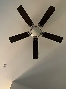 goldbuni online show from December 19, 2024, 11:03 pm