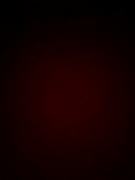 mendelicius online show from February 25, 2025, 11:19 am