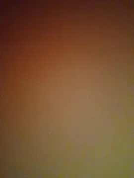 mendelicius online show from February 27, 2025, 6:09 pm