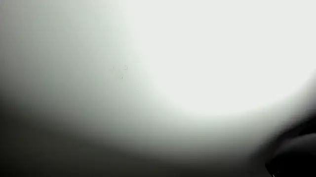 selene red  online show from October 8, 2025, 3:42 pm