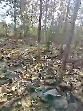 Snapshot of 88karan88 chatting on December 27, 2024, 4:58 am 88karan88 online show from December 27, 2024, 4:58 am