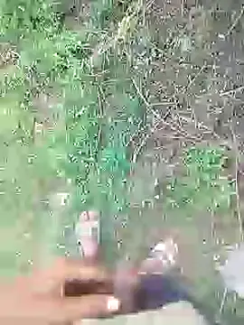 Snapshot of 88karan88 chatting on January 20, 2025, 9:03 am 88karan88 online show from January 20, 2025, 9:03 am