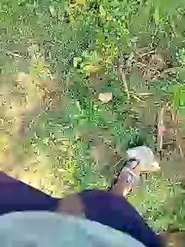 Snapshot of 88karan88 chatting on January 23, 2025, 3:37 am 88karan88 online show from January 23, 2025, 3:37 am