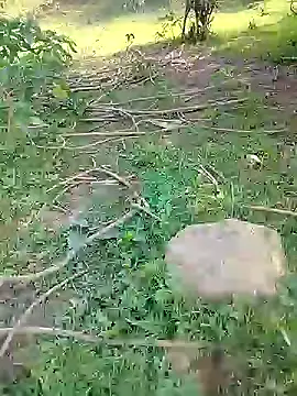 Snapshot of 88karan88 chatting on February 24, 2025, 3:55 am 88karan88 online show from February 24, 2025, 3:55 am