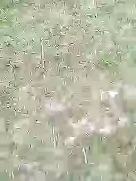 Snapshot of 88karan88 chatting on February 27, 2025, 11:20 am 88karan88 online show from February 27, 2025, 11:20 am