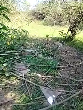 Snapshot of 88karan88 chatting on March 3, 2025, 5:09 am 88karan88 online show from March 3, 2025, 5:09 am