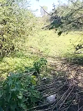 Snapshot of 88karan88 chatting on March 7, 2025, 4:24 am 88karan88 online show from March 7, 2025, 4:24 am