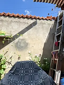 room 24funn online show from November 14, 2025, 3:00 pm