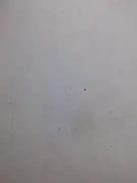 AmnionicDemeanor online show from October 31, 2025, 4:24 am