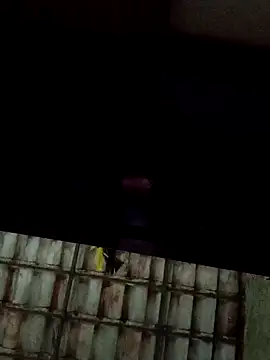 dantaradinho online show from January 31, 2025, 4:47 am