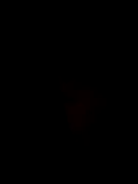 Ner0924 N online show from December 2, 2024, 4:31 pm