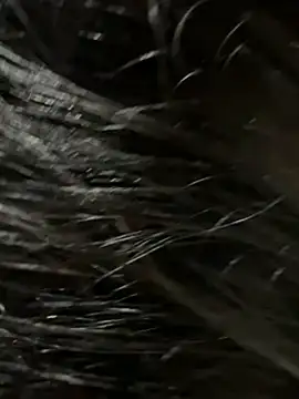 elber-gdo online show from February 9, 2025, 4:14 am