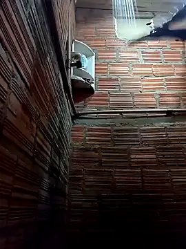 RS1995Poa1 online show from February 22, 2025, 2:06 am