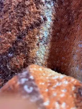 king cum  online show from November 8, 2025, 1:17 am